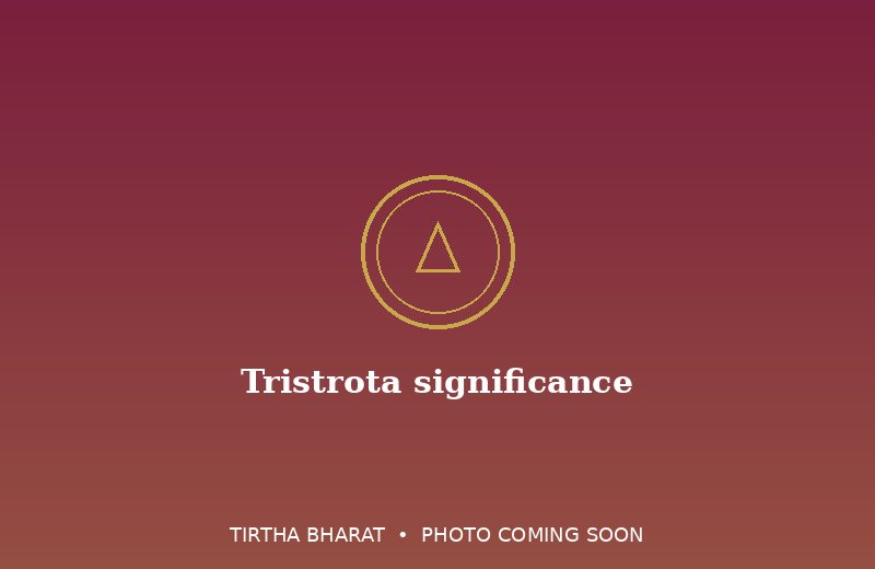 Tristrota significance